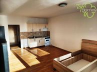 Pronjem bytu 1+kk v Orlov