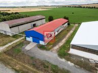 V zastoupen majitele nabzme pronjem haly o podlahov ploe 1100 m v Olany u Prostjova
