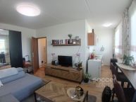 Pronjem bytu 1+kk/B/S, 34 m2, ul. Na Rovm poli, Kladno.