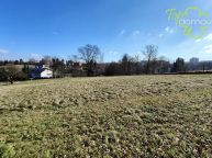 Prodej stavebn�ho pozemku v Orlov� (a� 2000 m2)