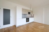 Pronjem bytu 2+kk/B, 46 m2 + 5 m2 balkon, ulice Breitfeldova, Praha 8  Karln.