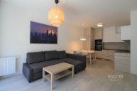 Pron�jem bytu 2+kk, 55 m2, ulice U Ml�nsk�ho kan�lu, Praha 8 � Karl�n.