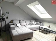 Prodej sv�tl�ho podkrovn�ho bytu 2+1 - 68m ,  plus sklep 8m,  po rekonstrukci