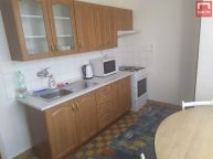 Pron�jem bytu 1+1, Foerstrova, Olomouc