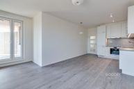 Pron�jem bytu 2+kk/B/S/P, 57 m2, ul. Augustina Luke�e, Brand�s nad Labem.