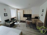 Pron�jem bytu 1+kk po kompletn� rekonstrukci v Orlov�