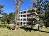 Pron�jem bytu 2+kk s lod�i�, Zdice