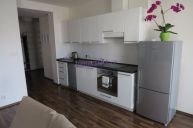 Pron�jem 2+kk 57 m2 V Hork�ch Praha 4, terasa