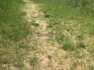 Prodej zas��ovan�ho stavebn�ho pozemku �i�ka 9890 m2