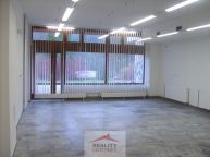 Pron�jem obchodn�ch prostor 130 m2, Vset�n