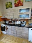 Pron�jem bytu 2+kk, ul. J. Plachty, �esk� Bud�jovice