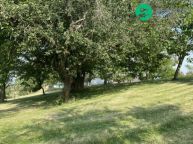 Klidn� pozemek 3 359 m na polosamot� u Petrovic