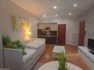 Pron�jem bytu 1+kk, 22 m2, Praha 4 - Nusle, Na Jezerce