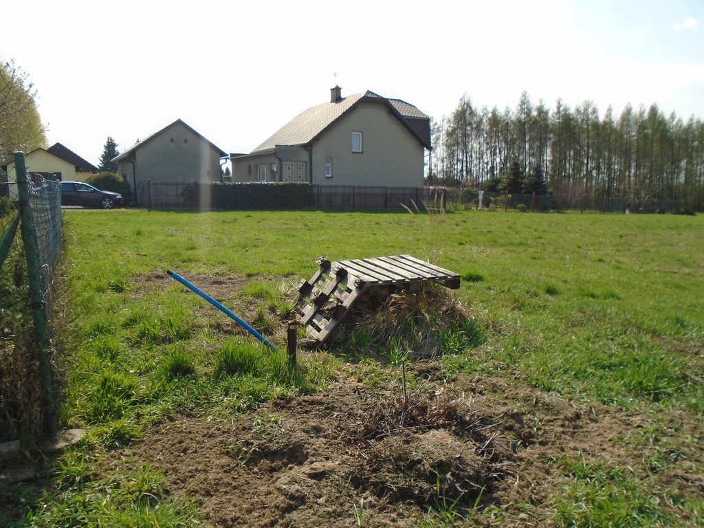 DSC03143
