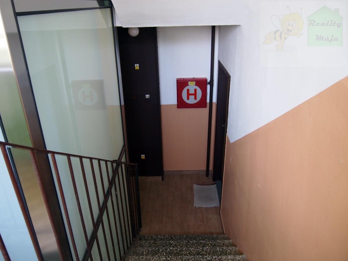 ?=P1014498.JPG - (9859517)
