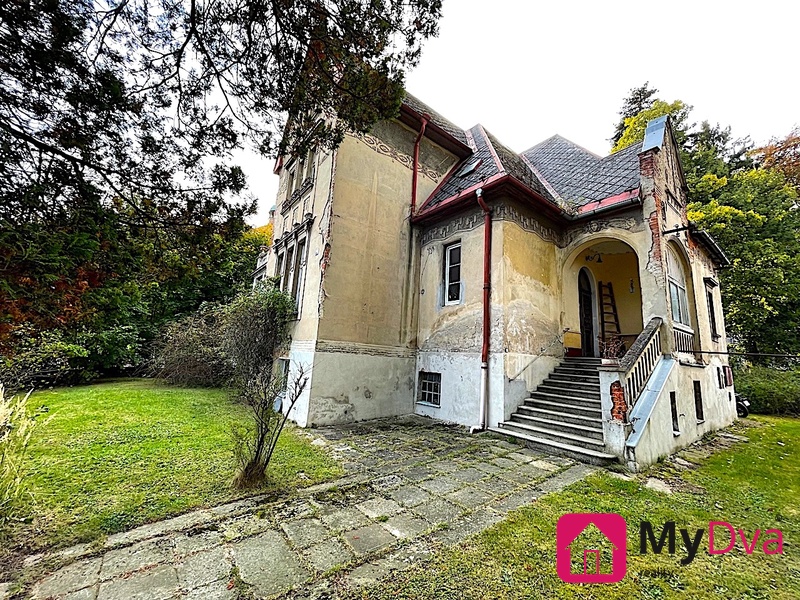 ?=IMG_1816 - (12153656)