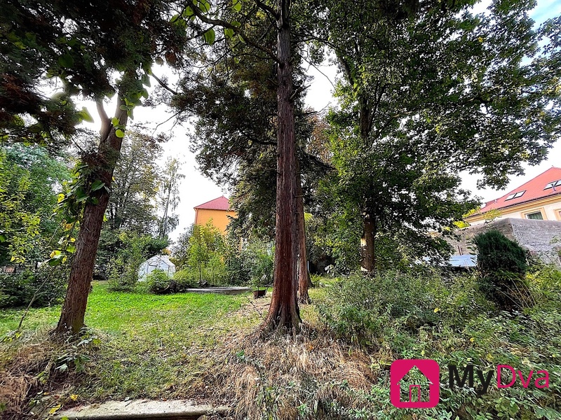 ?=IMG_1807 - (12153661)