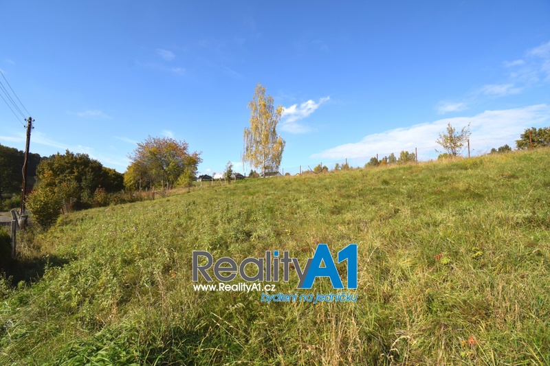 ?=DSC_0010 - (11830300)