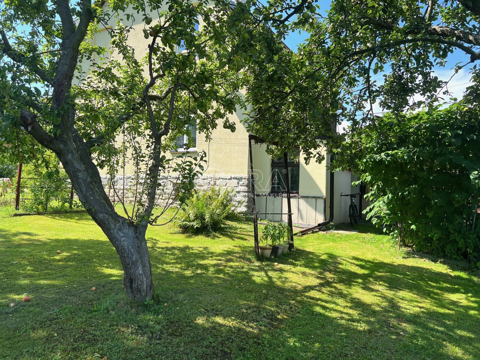 ?=dum4.jpeg - (11508653)