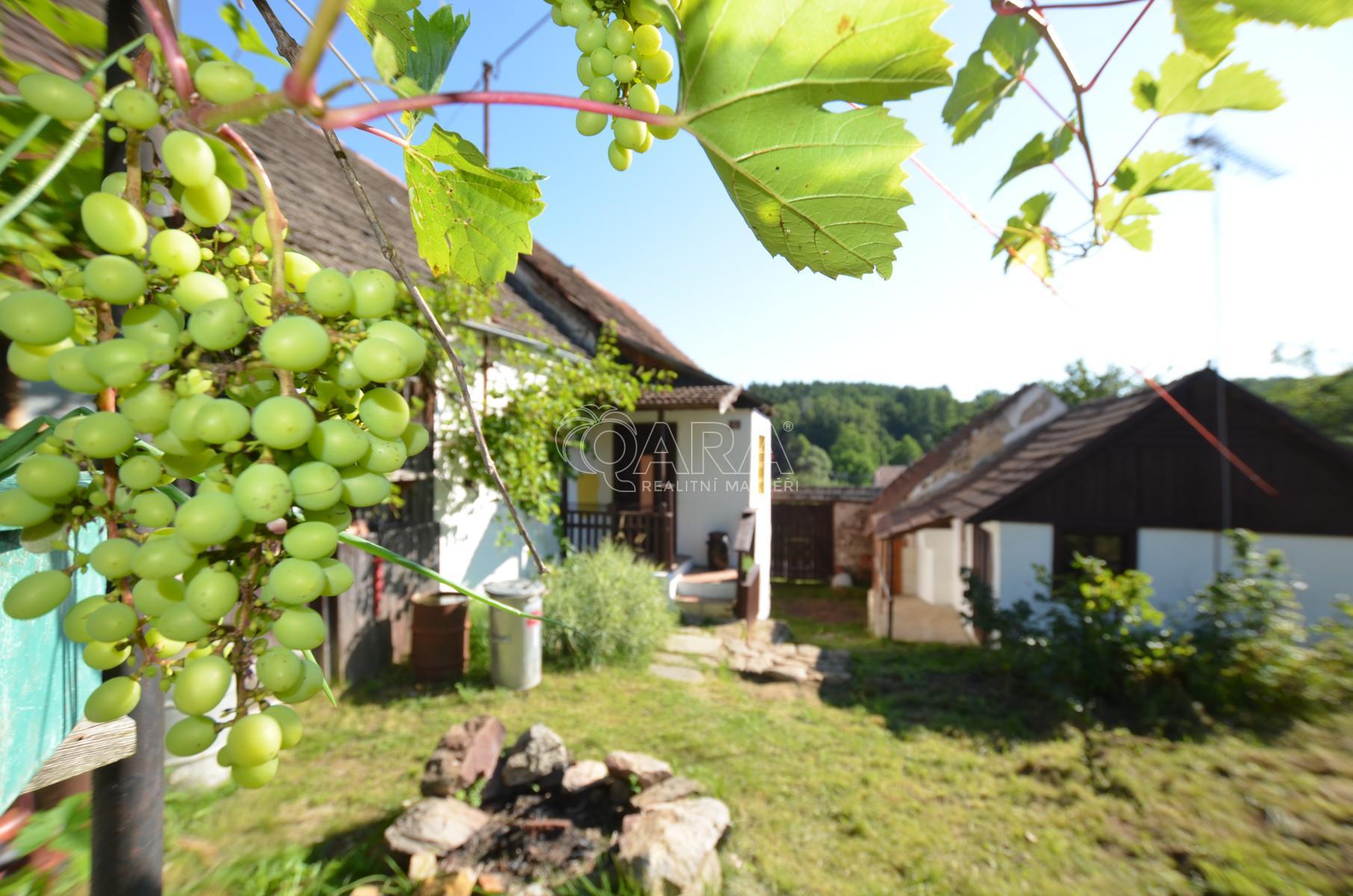 ?=DSC_5824.JPG - (11541465)