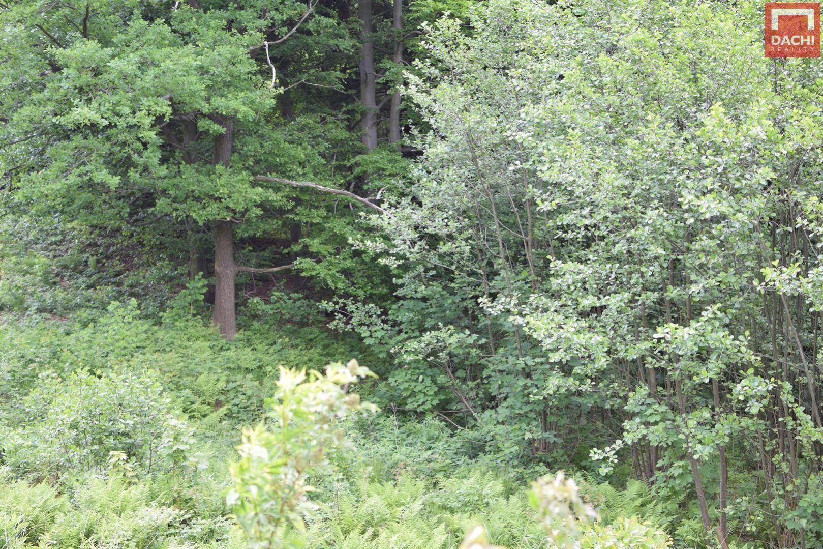 ?= - (12261818)