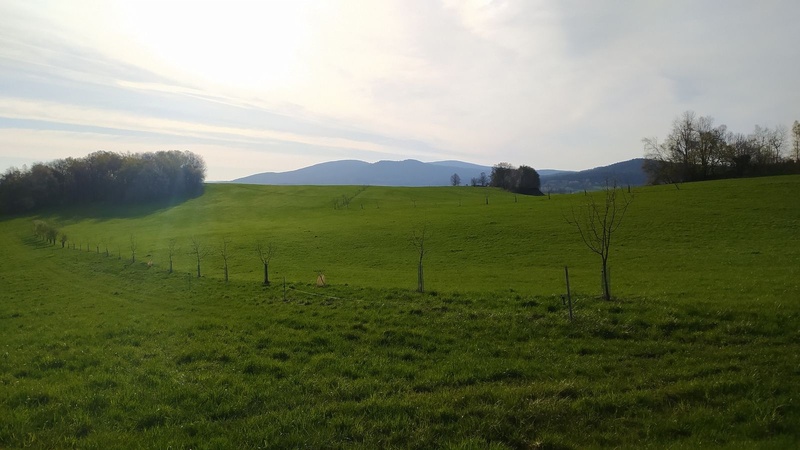 ?=IMG_20230501_073254 - (11686741)