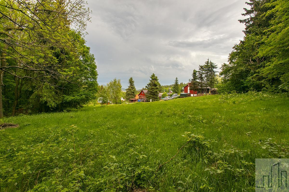 1O5A3551.jpg