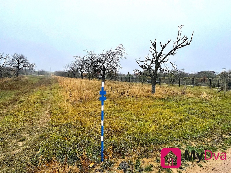 ?=IMG_7432 - (12153589)