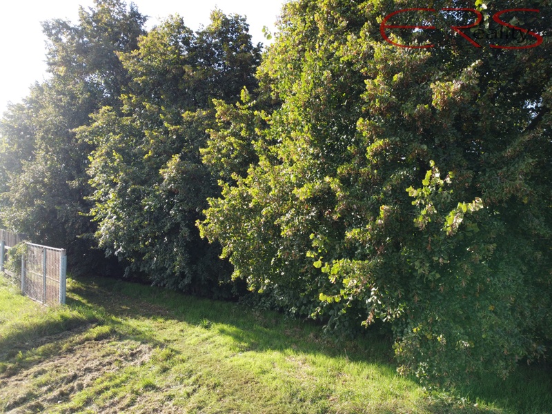 ?=DJI_0276 - (11900953)