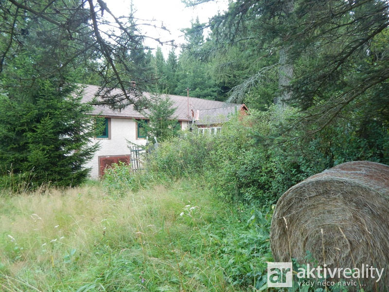 ?=DSCN3020 - (11928196)