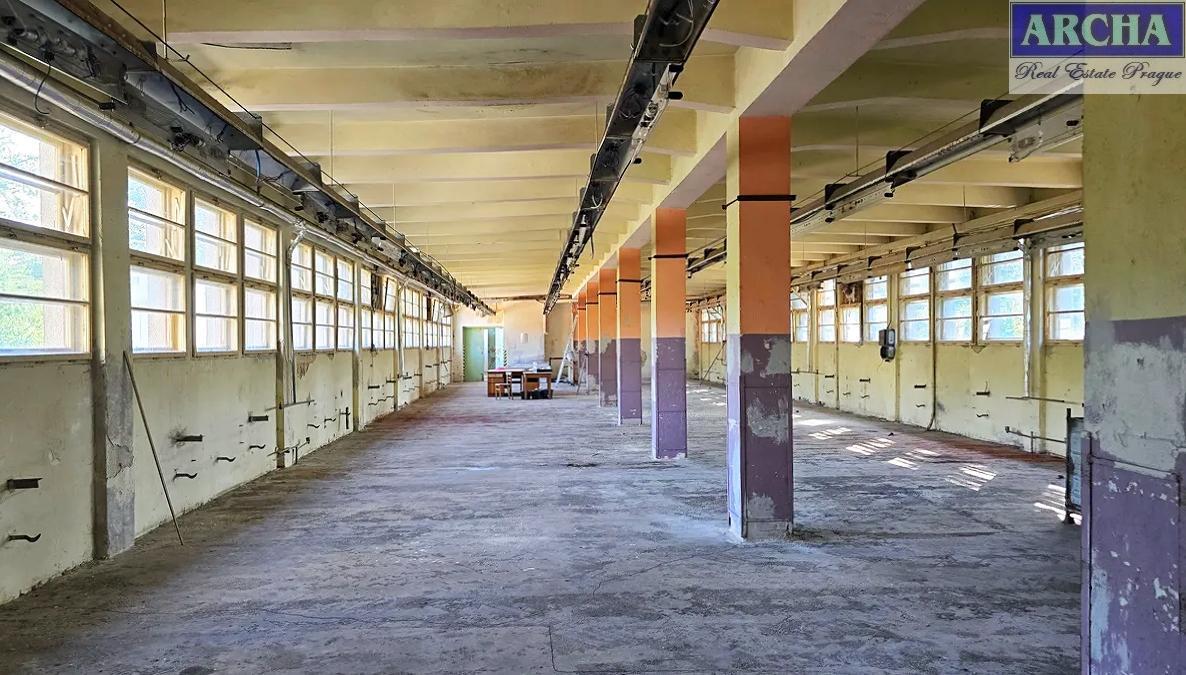 ?=1730126832_eQlknAxiWN.jpg - (12023101)