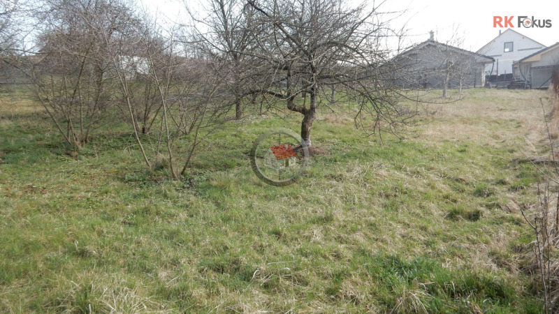 ?= - (12041350)