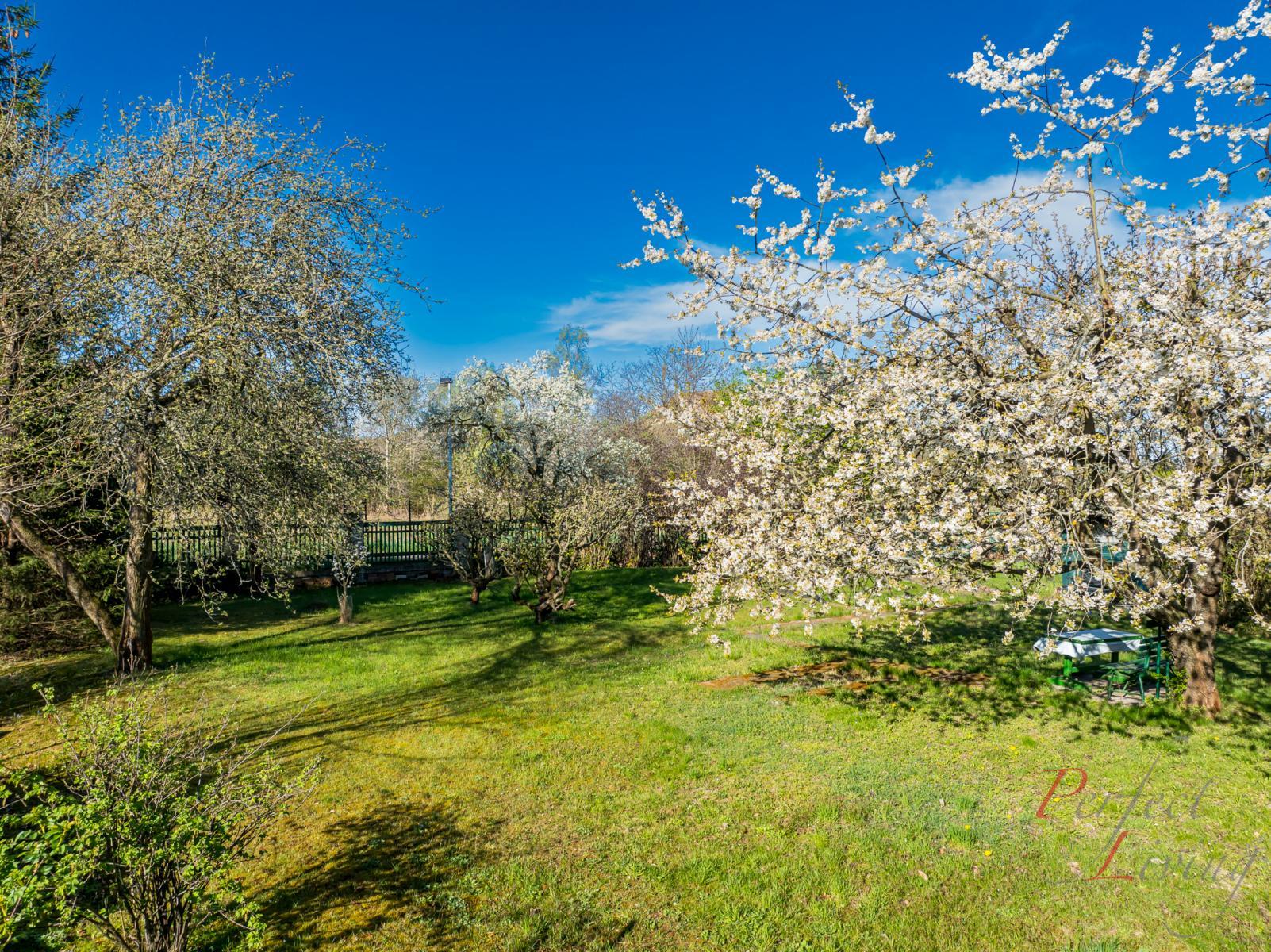 ?=DJI_0765.jpg - (12075190)