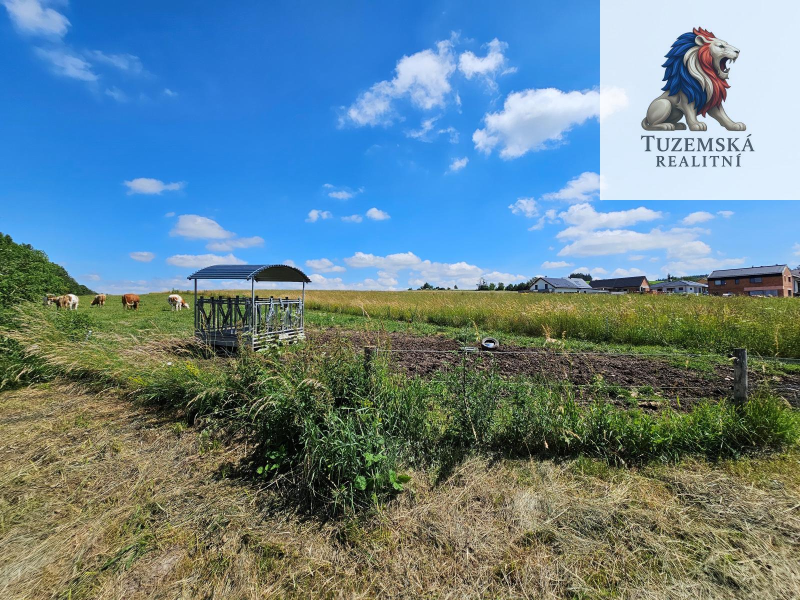 ?=20240625_113552.jpg - (12079273)