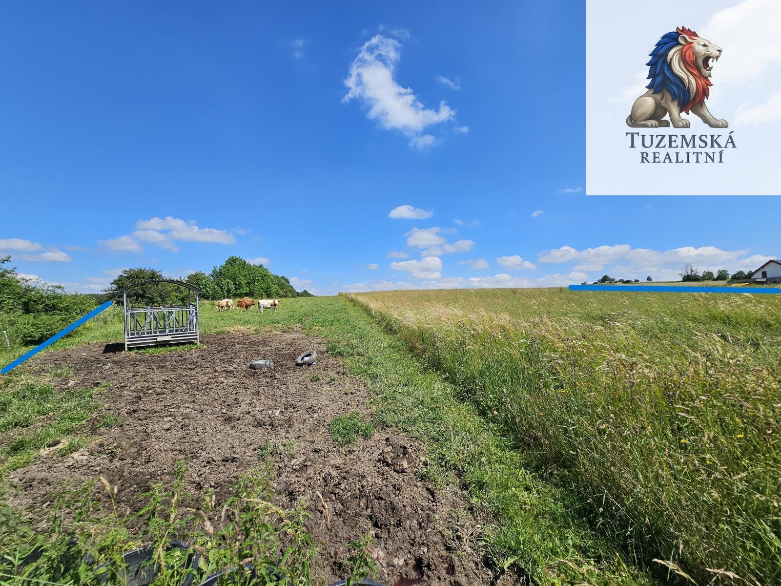 ?=20240625_113427 s vyzna�en�m.jpg - (12079274)