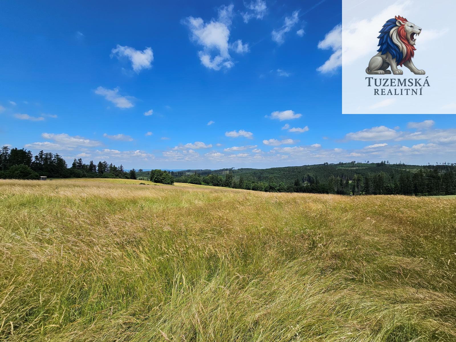 ?=20240625_115239.jpg - (12079275)