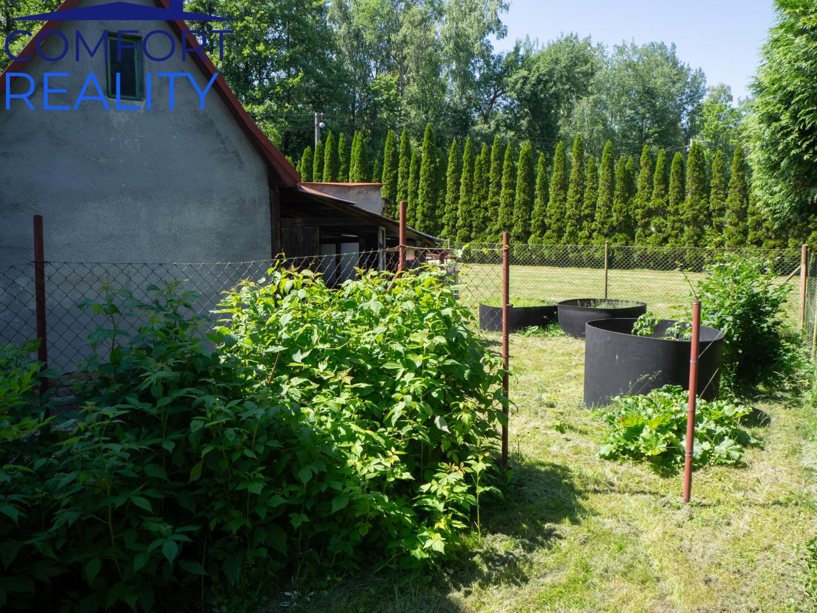 ?=P6140272.jpg - (12084189)