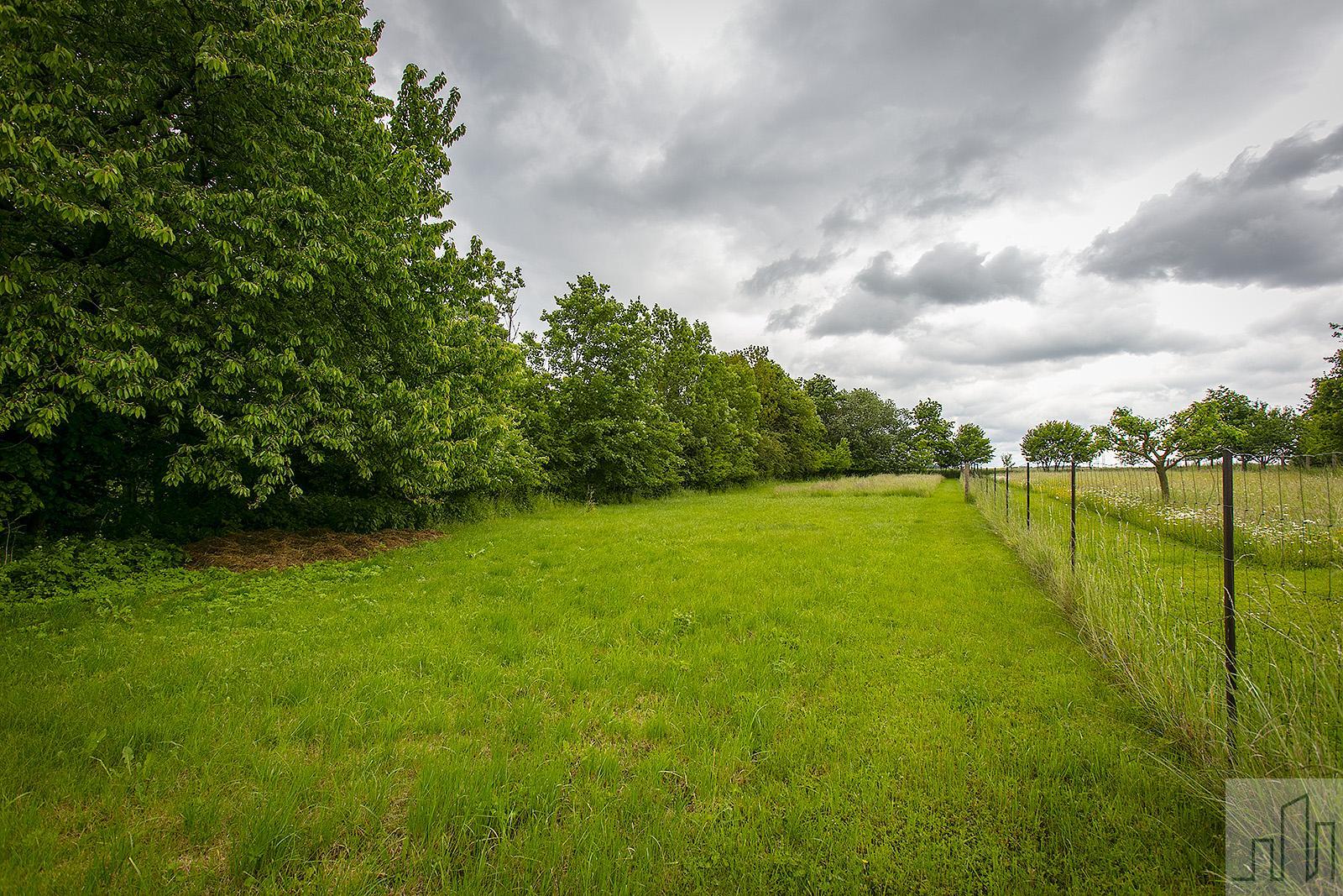 ?=1O5A5240.jpg - (12087659)