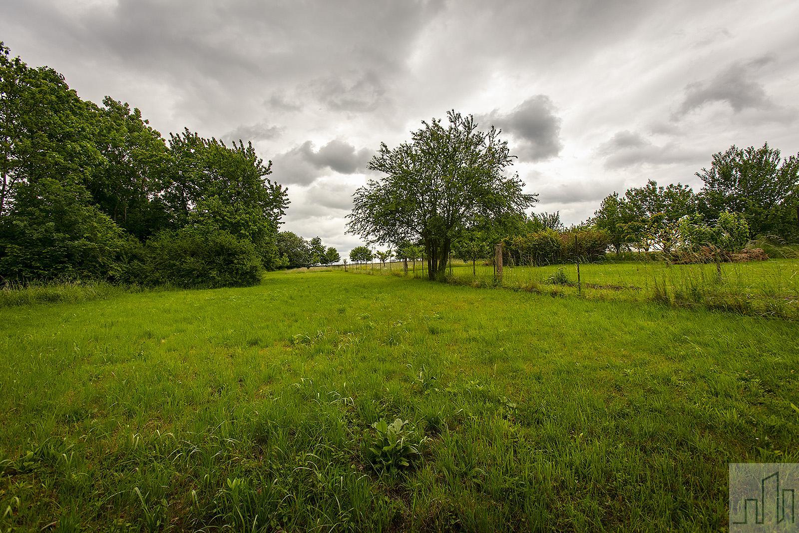 ?=1O5A5239.jpg - (12087660)