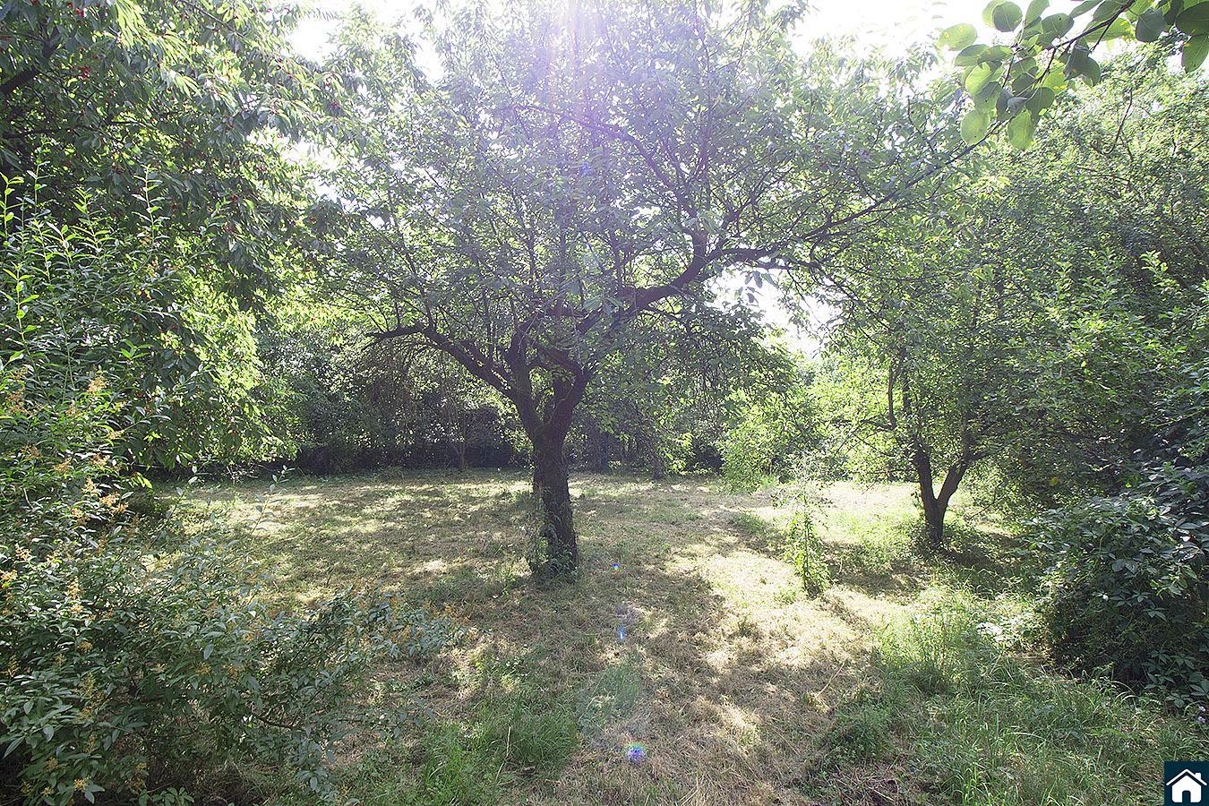 ?=006.jpg - (12098381)