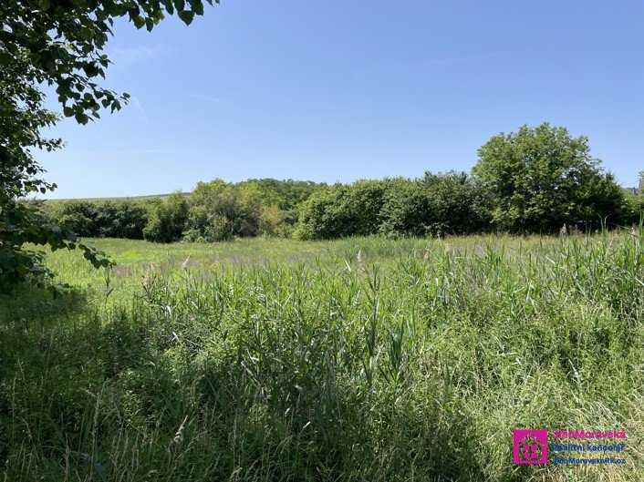 pozemek _ div�ky _ 1