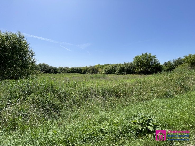 ?=pozemek _ div�ky _ 2 - (12172558)