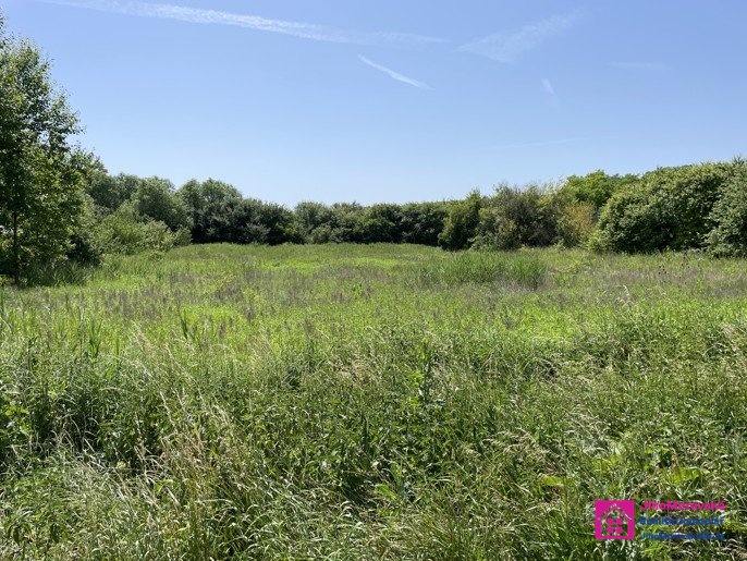 ?=pozemek _ div�ky _ 4 - (12172568)