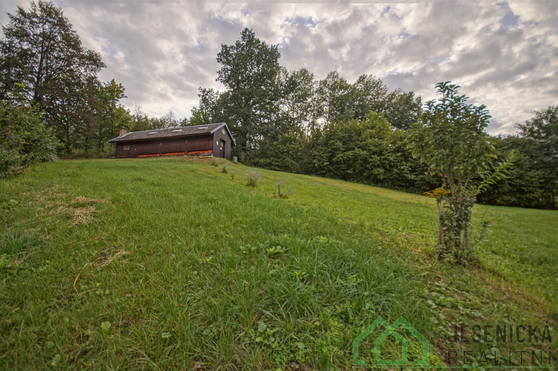 ?=DSC06594.jpg - (12136972)