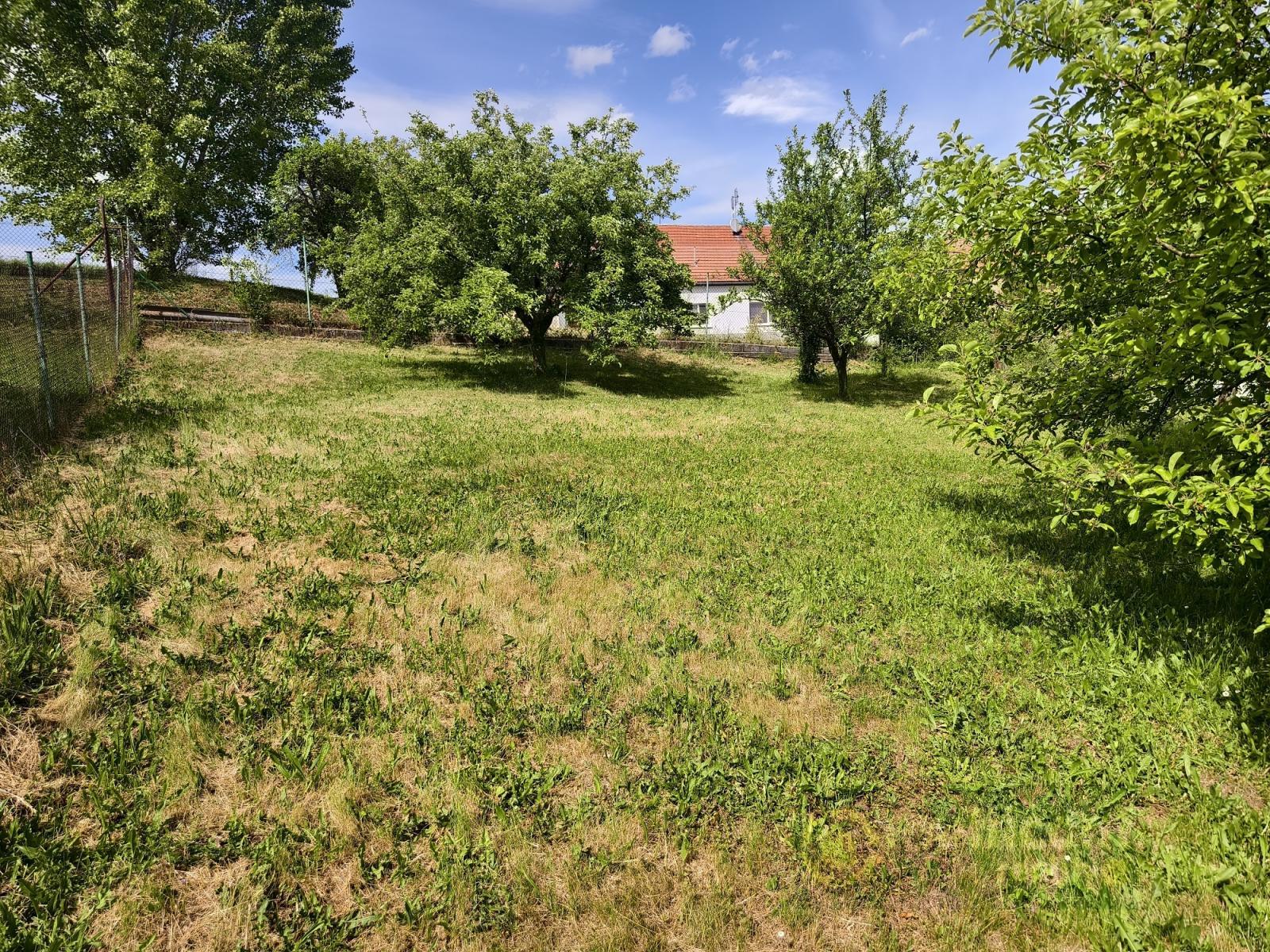 ?=IMG_20250514_152454.jpg - (12151061)