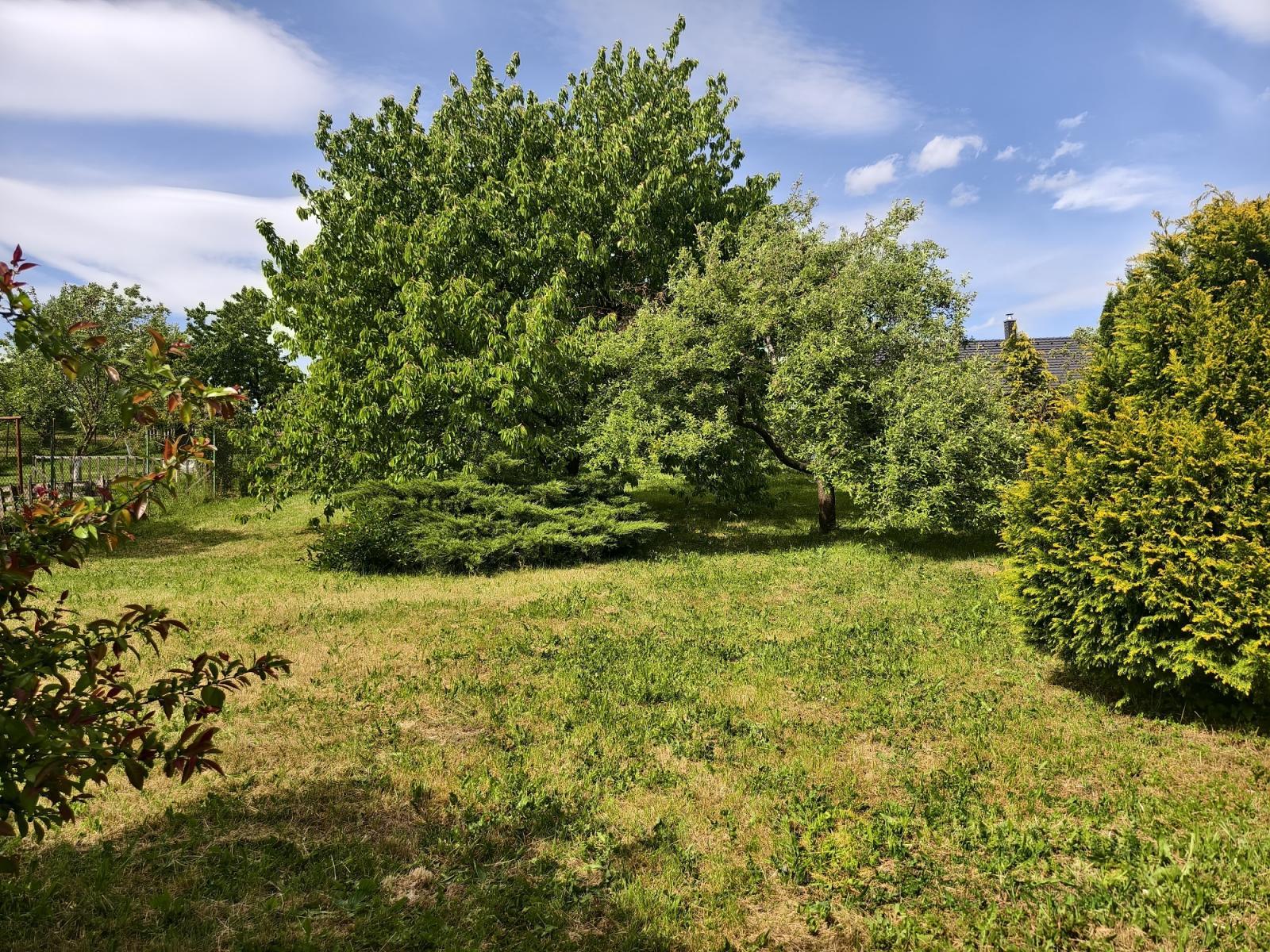 ?=IMG_20250514_152415.jpg - (12151062)