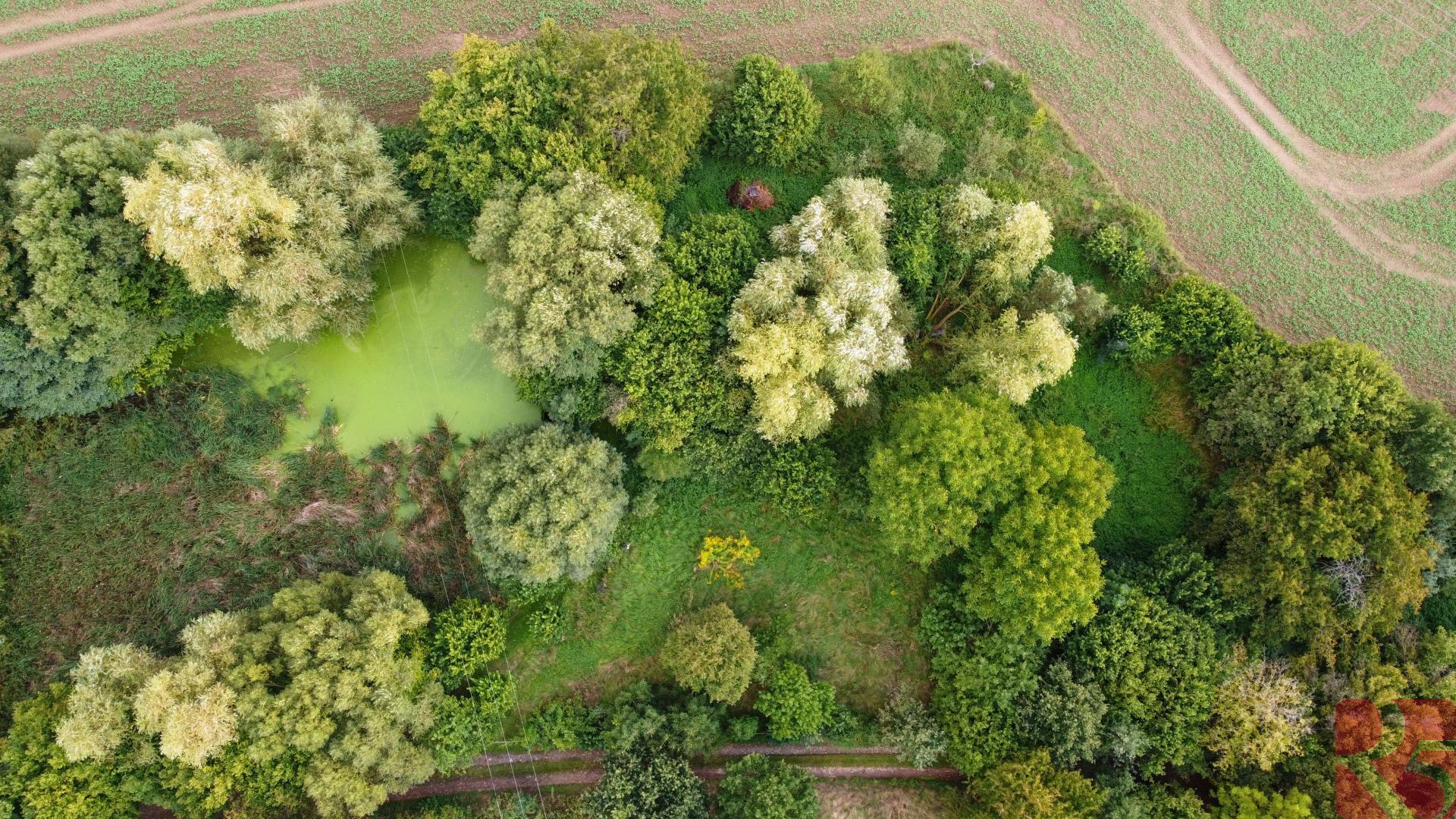 ?=pozemek 2877 m2 - (12153172)