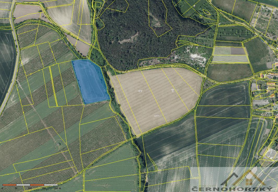 ?=6.jpg - (12155630)