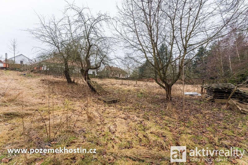 ?=7IV08041 - (12158480)