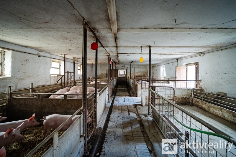 ?=7IV06333 - (12167239)